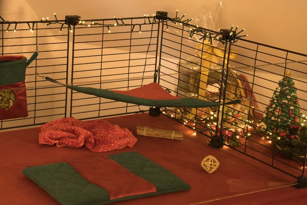 Hamak świąteczny FLOP - kolekcja 2025 1_christmas