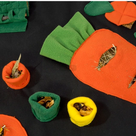 Marchewkowe pole - plac zabaw i mata węchowa 73x53cm dla szynszyli