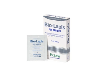 Bio-Lapis 6x2g preparat 4w1 dla szynszyli: probiotyk, prebiotyk, elektrolit i witaminy