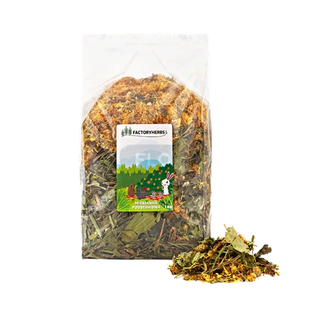 FactoryHerbs Mieszanka podstawowa dla szynszyli 1kg