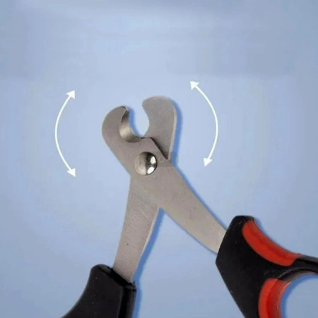 Nożyczki do obcinania pazurków szynszyli