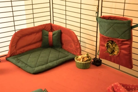 Mały świąteczny paśnik dla szynszyli i koszatniczek 2025