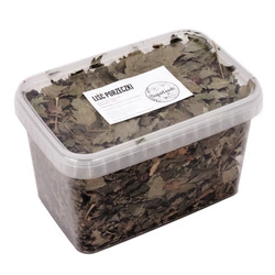 Porzeczka (Ribes rubrum L.) liść 100g / pudełko 1200ml dla szynszyli
