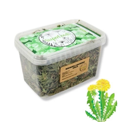 Mniszek lekarski (Taraxacum officinale) ziele 100g / pudełko 1200ml dla szynszyli