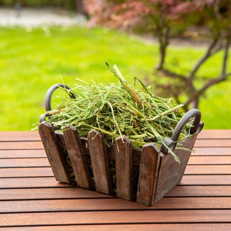 TIVO Usianowanko 1 kg – aromatyczne sianko dla szynszyli i koszatniczek