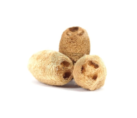 Mała luffa naturalna (5-6cm) gryzaczek