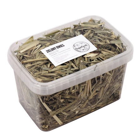 Owies (Avena sativa L.) ziele 100g / pudełko 1200ml