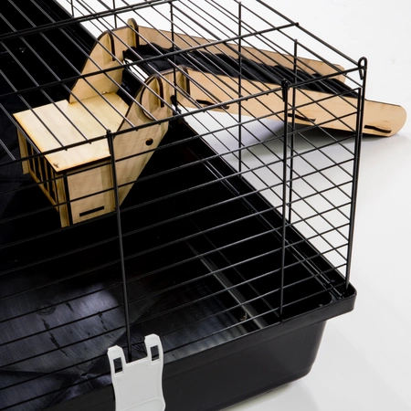 Rampa / schodki do wychodzenia z klatki z paśnikiem i pokrowcem