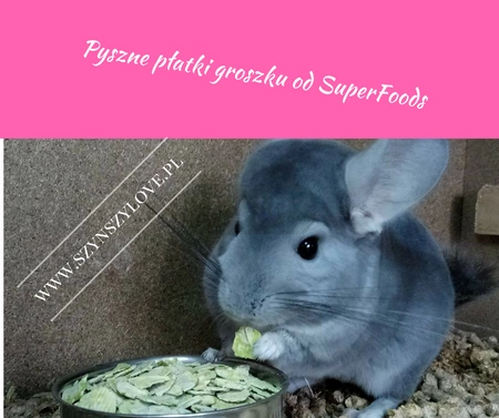 Groszek w płatkach dla szynszyli 200g SuperFoods