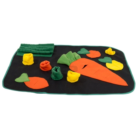 Marchewkowe pole - plac zabaw i mata węchowa 73x53cm dla szynszyli