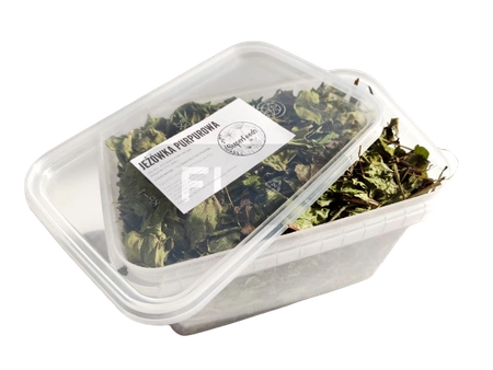 Jeżówka purpurowa (Echinacea purpurea (L.) ziele 100g / pudełko 1200ml dla szynszyli