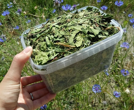 Mieszanka ziół i kwiatów polnych 100g / Zero Waste pudełko 1200ml dla szynszyli