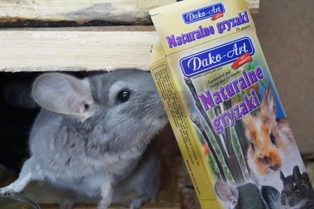 Gałęzie jabłoni i gruszy - gryzaki naturalne DAKO-ART 80g dla szynszyli