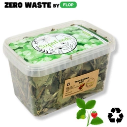 Truskawka (Fragaria ×ananassa L.) liść 100g / Zero Waste pudełko 1200ml dla szynszyli