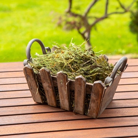 TIVO Usianowanko TERMO 1 kg – naturalnie suszone sianko dla szynszyli i koszatniczek