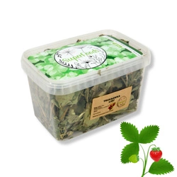 Truskawka (Fragaria ×ananassa L.) liść 100g / pudełko 1200ml dla szynszyli