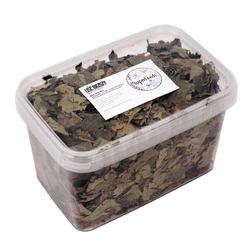 Brzoza (Betula L.) liść 100g / pudełko 1200ml dla szynszyli