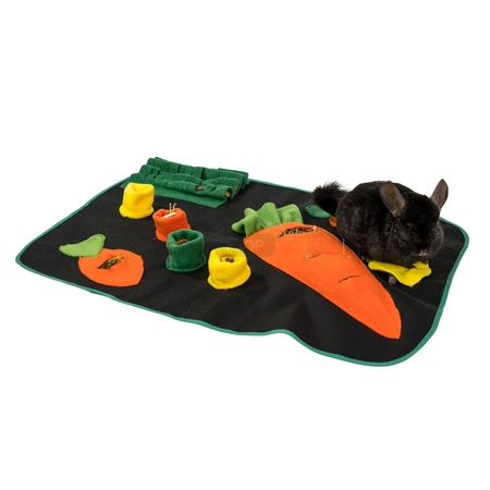 Marchewkowe pole - plac zabaw i mata węchowa 73x53cm dla szynszyli