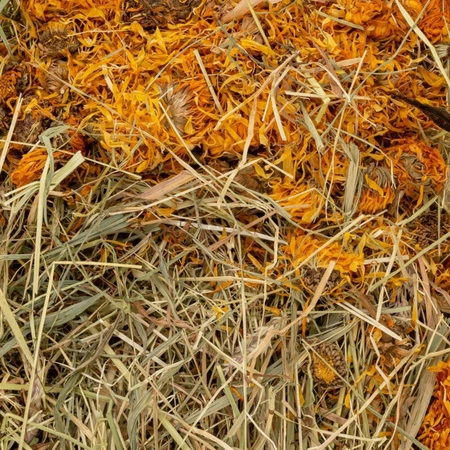 800g Vitapol Siano z nagietkiem dla gryzoni i królików